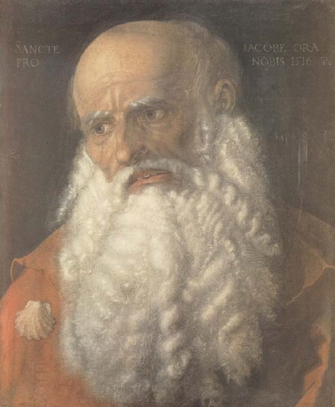Albrecht Durer Head of the Apostle james oil painting picture